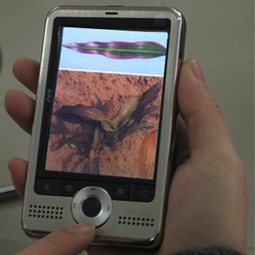 測土配方施肥信息查詢 ZWY-1