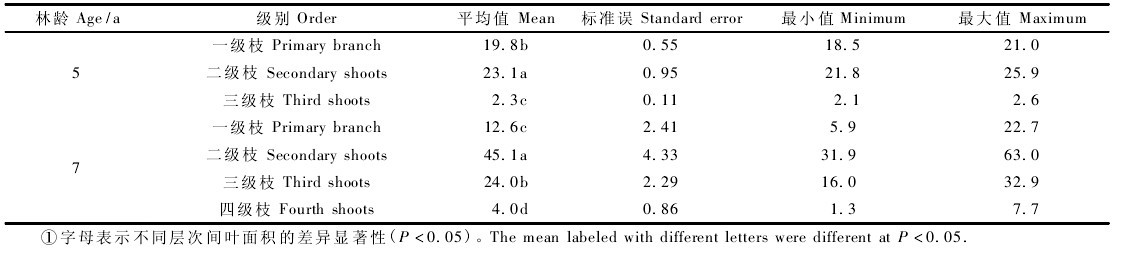 表 3 不同級別枝的葉面積