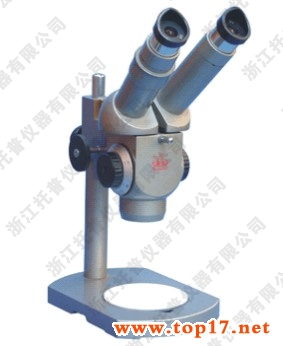 �B�m׃���wҕ�@΢�R���pĿ�� XTT