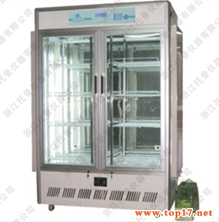 智能液晶人工氣候箱