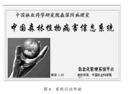 �D4 ϵ�y���ӽ���