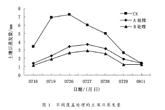 圖1 不同覆蓋處理的土壤日蒸發量