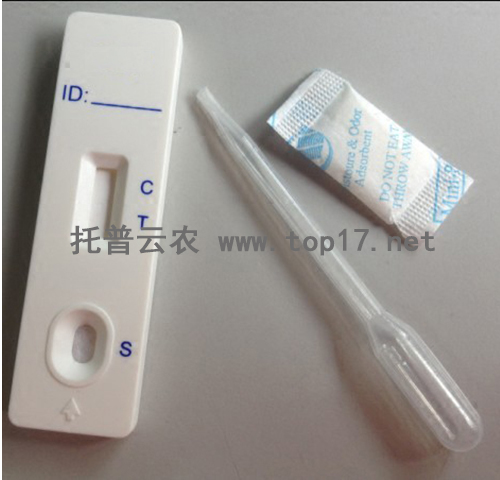 �D����N�әz�yԇ�� �o