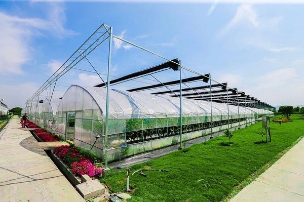 ����ͨ�L(f��ng)�Ĵ���