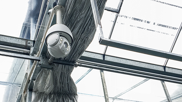 �������rȫ�Ԅ��й�ʽ���Ҵ�����ʽ���