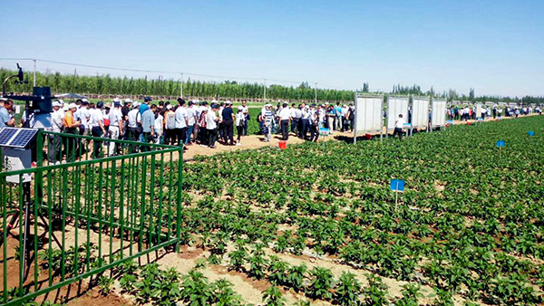 ���جF(xi��n)�����^