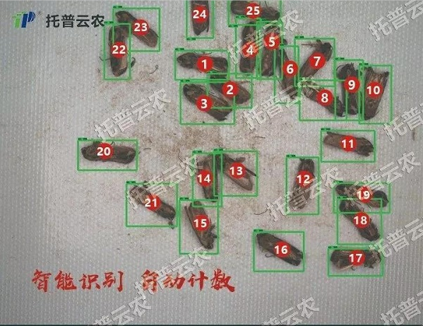 �����R�e