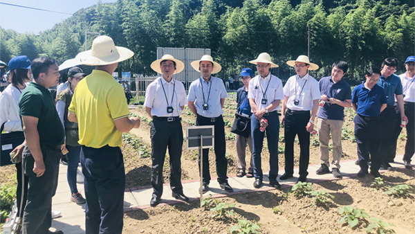 ��Ӗ��F(xi��n)���^Ħ�����|(zh��)���O(ji��n)�y�c