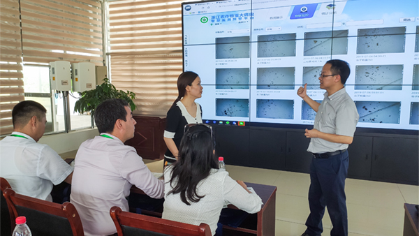 朱旭華副總經理與代表們圍繞蟲情測報深入交流