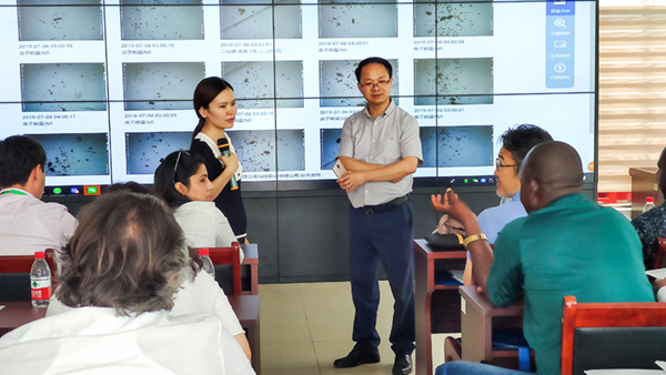 朱旭華副總經理與代表們圍繞蟲情測報深入交流