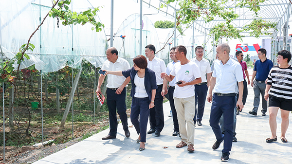 ���^�������ܿ���ϵ�y