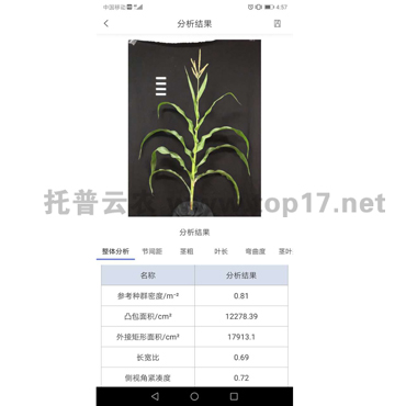 �������ͷ���ϵ�yܛ������