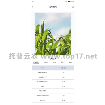 �������ͷ���ϵ�yܛ������