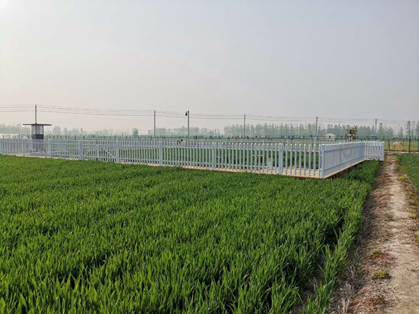 �������r�c���Kֲ��ֲ�zվ�����w�r�����ĺ������������f�h