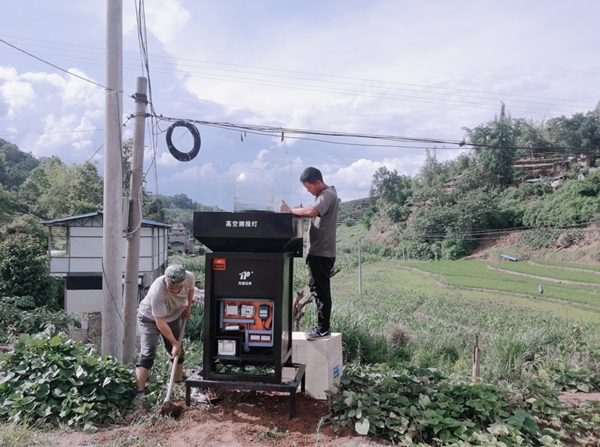 ����(w��)Ⱥ��