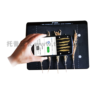 �����ΑB(t��i)�y(c��)���x TPDS-X-1