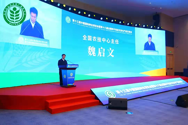 ��ʮ�ˌ�ȫ���N���p������ɽ�|�������_��Ļ