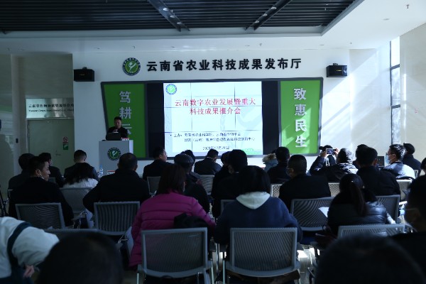 �ƽ��(hu��)�F(xi��n)��(ch��ng)