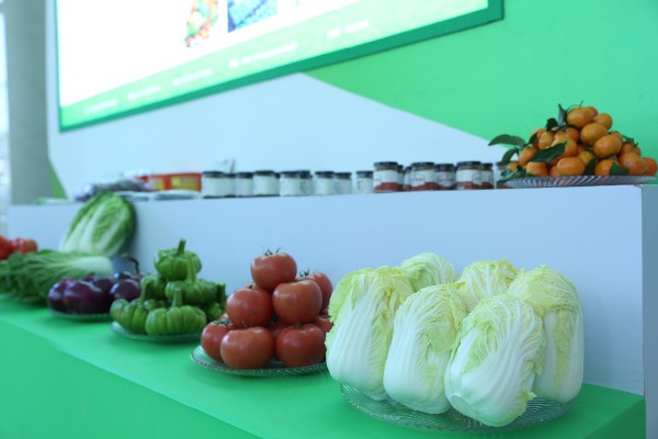 �ƽ��(hu��)�F(xi��n)��(ch��ng)