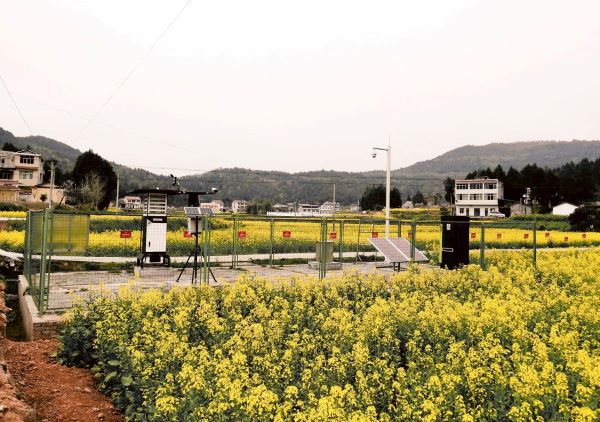 �������r���x���O�y�c