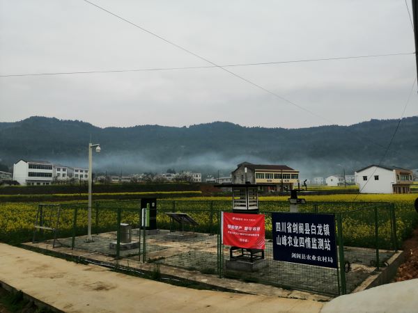 �������r���x���O�y�c