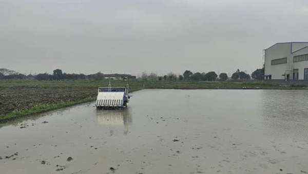 �o���{����C(j��)