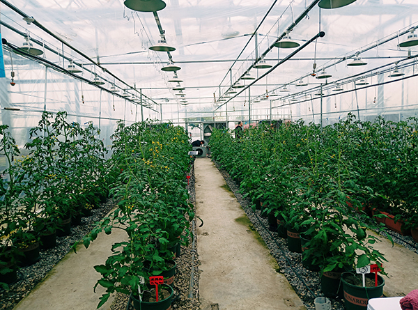 ʒɽ�F���r�Iʾ���^