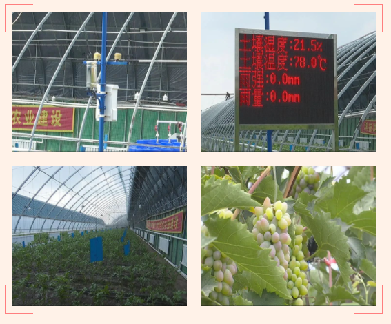 九臺區李玉波的采摘園