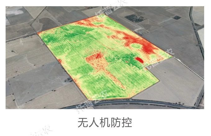 �o�˙C����