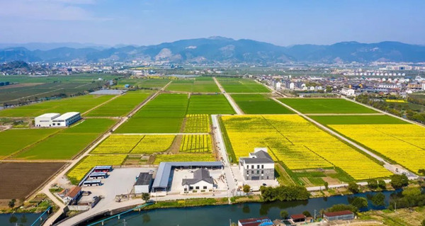 ����������֔��ִ�����r�C��ҕ�����Nֲ��Ϣ����������ܻ�