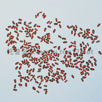 С������