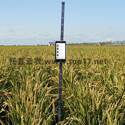 ������ߜy��