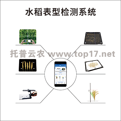 水稻表型檢測系統 TPS-BX-1