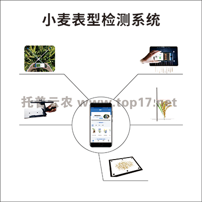 ���ױ��͙z�y(c��)ϵ�y(t��ng) TPY-BX-1