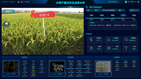 ���N�󔵓�ƽ�_