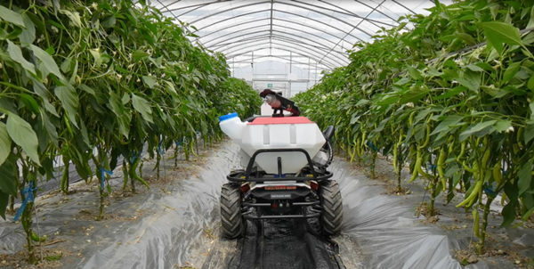 �������r��С�С��C����