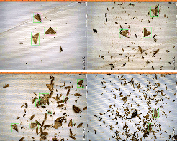 �ݵ���������