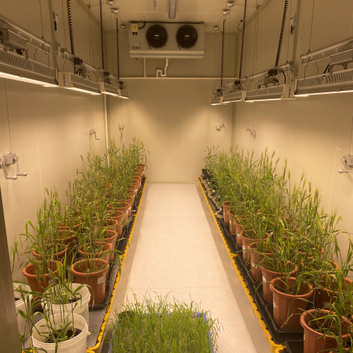 ֲ�����L�� ����