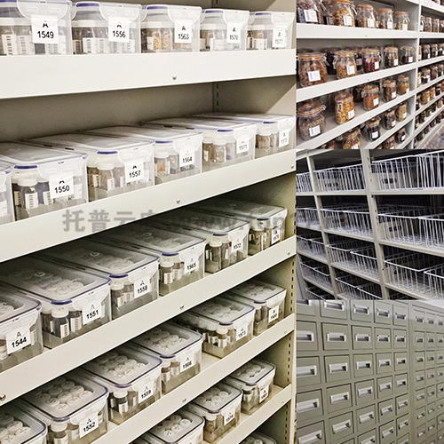 �N�|�YԴ���A��