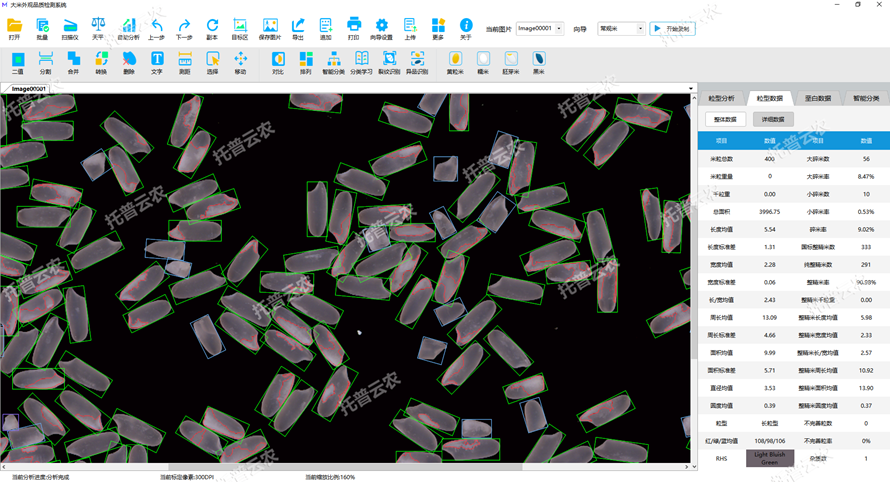 �������w����