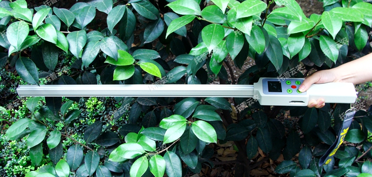 TOP-1000ֲ��ڌӷ����x