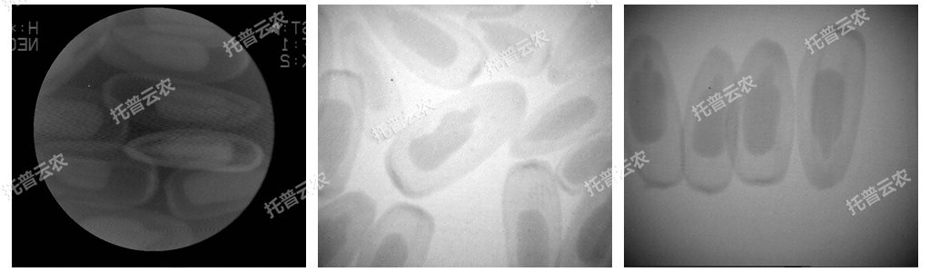 電腦農(nóng)用X光機/電腦種子X光機