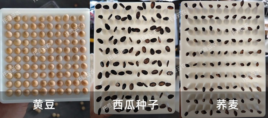 ����ô�ϵ�y