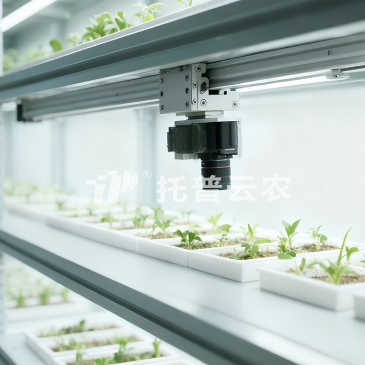 �҃�(n��i)�N���Ȱl(f��)���ͱO(ji��n)�y(c��)ϵ�y(t��ng) TPN-SeedPhy