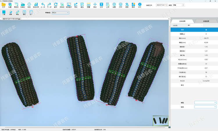  �����׹���y��